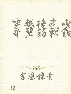 穿越后我吃到了哥儿的软饭炉山灰