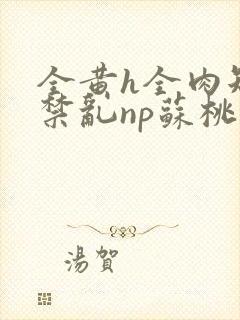 全黄h全肉短篇禁乱np苏桃