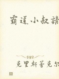 霸道小叔请轻撩