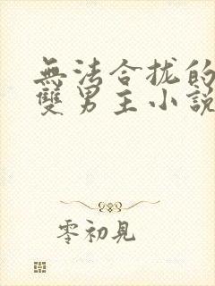 无法合拢的总裁双男主小说