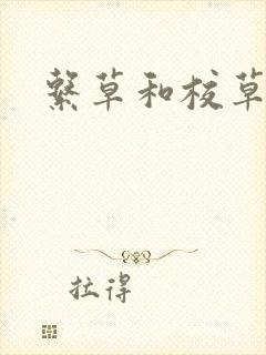 系草和校草封面