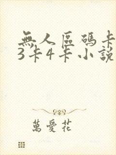 无人区码卡二卡3卡4卡小说
