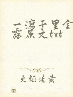 一泻千里金银花露原文txt