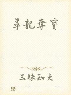 寻龙夺宝