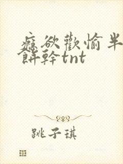 瘾欲欢愉半块小饼干tnt