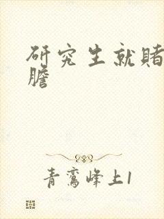 研究生就赌一个胆封面