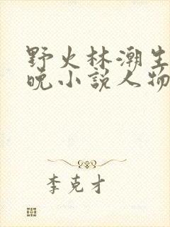 野火林潮生林晚晚小说人物野火