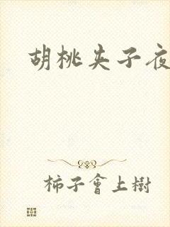 胡桃夹子夜未眠