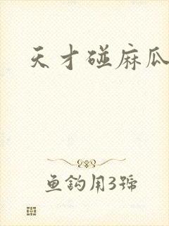 天才碰麻瓜封面