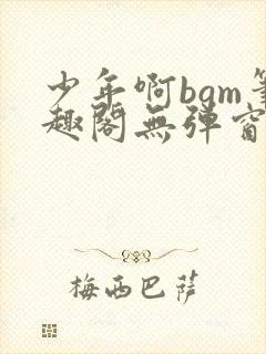 少年啊bgm笔趣阁无弹窗免费