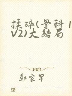 揉碎(骨科 1V2)大结局