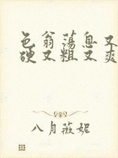 色翁荡息又大又硬又粗又爽小莹