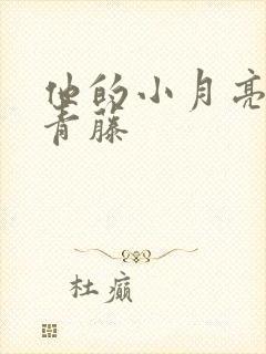 他的小月亮by青藤