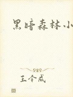 黑暗森林小说