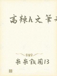 高辣h文笔趣阁