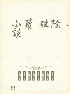 小萝 破除 小说
