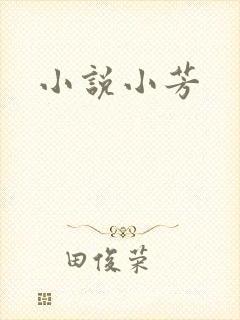 小说小芳