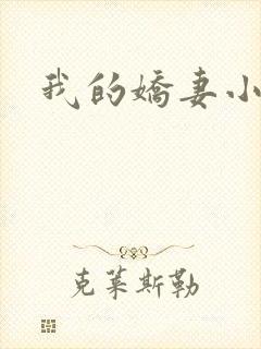 我的娇妻小说