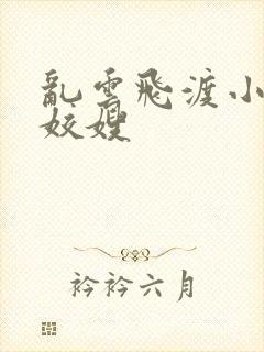 乱云飞渡小说之姣嫂