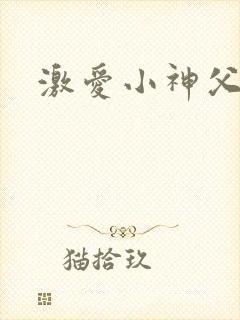 激爱小神父