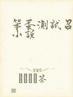 笨蛋测试召唤兽小说