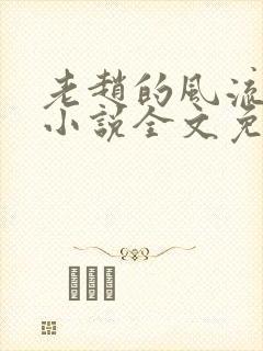 老赵的风流人生小说全文免费阅读