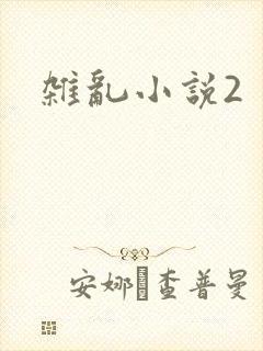 杂乱小说2
