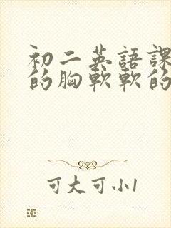 初二英语课代表的胸软软的