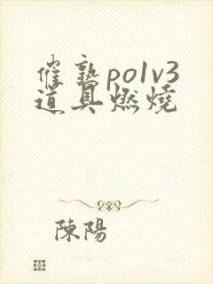 催熟po1v3道具燃烧封面