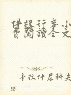 借根行事小说免费阅读全文在线阅笔趣无弹窗