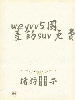 weyvv5国产的suv免费