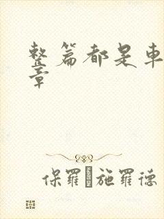 整篇都是车的文章