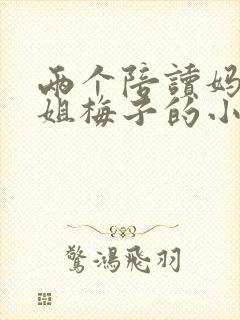 两个陪读妈妈赵姐梅子的小说