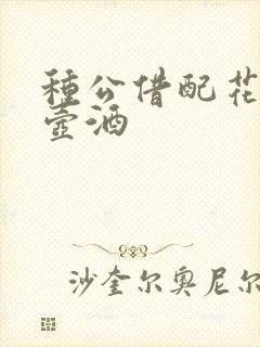 种公借配花间一壶酒