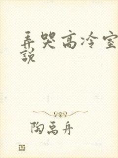 弄哭高冷室友小说