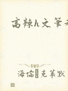 高辣h文笔趣阁