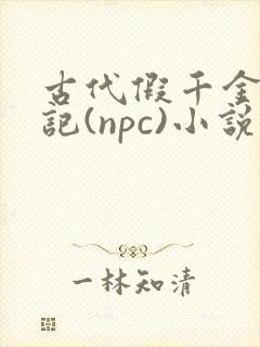 古代假千金挨日记(npc)小说