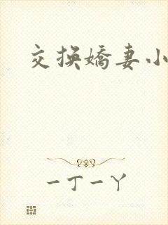 交换娇妻小说