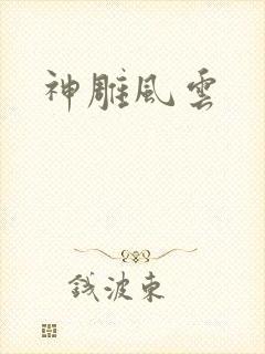 神雕风云封面