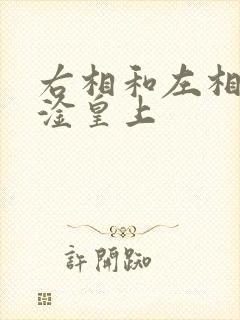 右相和左相一起淦皇上