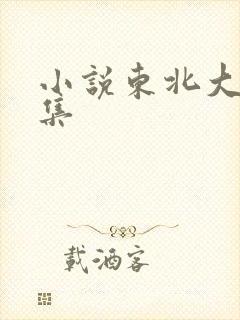 小说东北大炕全集