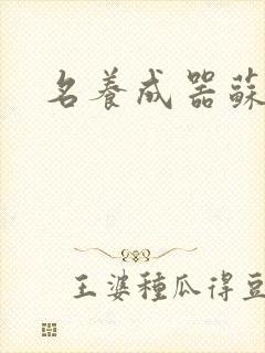 名养成器苏沫沫