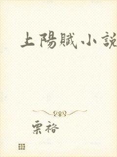 上阳赋小说封面