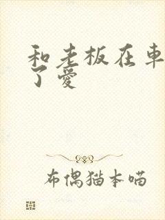 和老板在车里做了爱