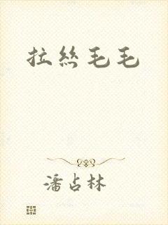 拉丝毛毛