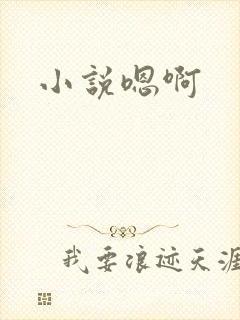 小说嗯啊