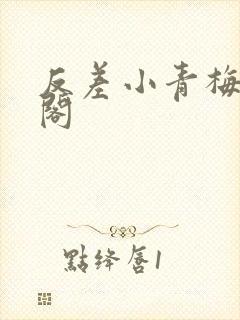 反差小青梅笔趣阁