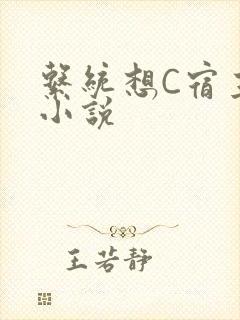 系统想C宿主的小说