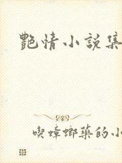艳情小说集