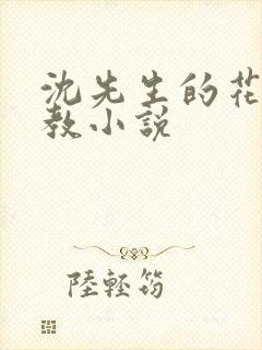 沈先生的花式管教小说